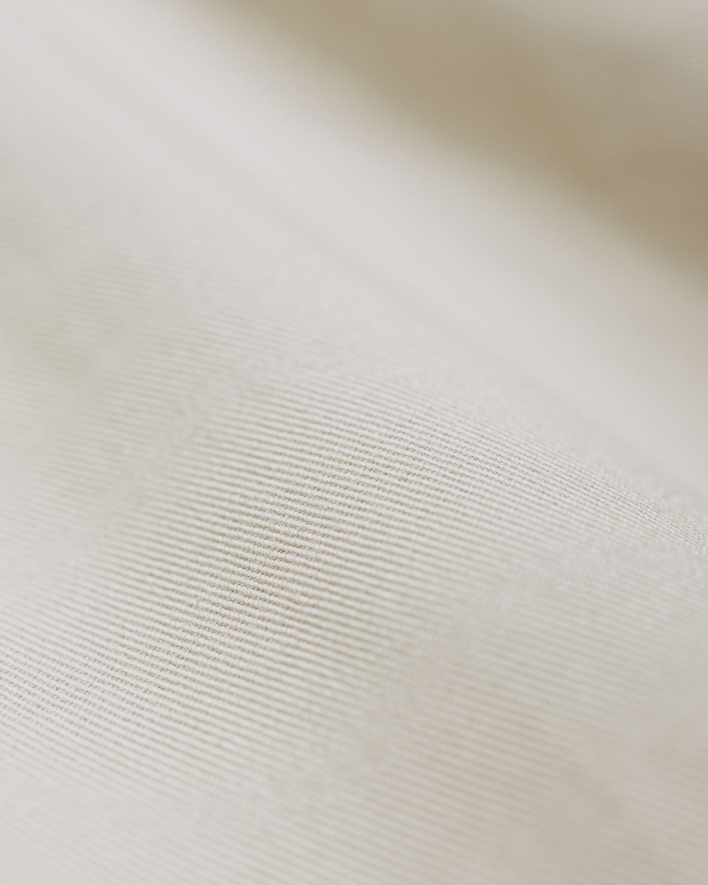 Beams Plus 2Pleats Twill Cement