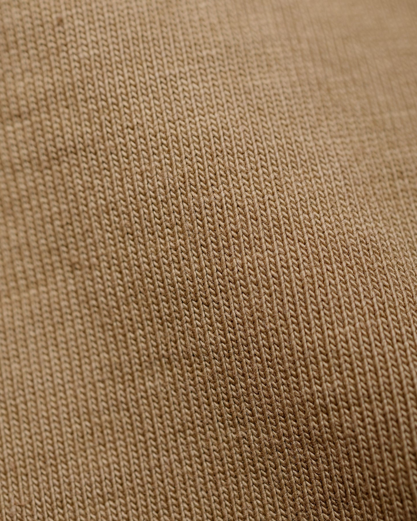 Lady White Co. Rugby T-Shirt Cashew