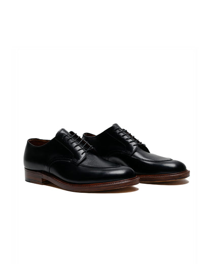 Alden V Tip Blucher Black Calfskin/Black Regina Grain G2603 side