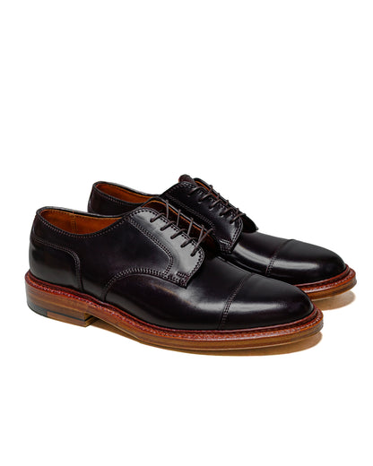 Alden Straight Tip Blucher Colour 8 Cordovan D1538