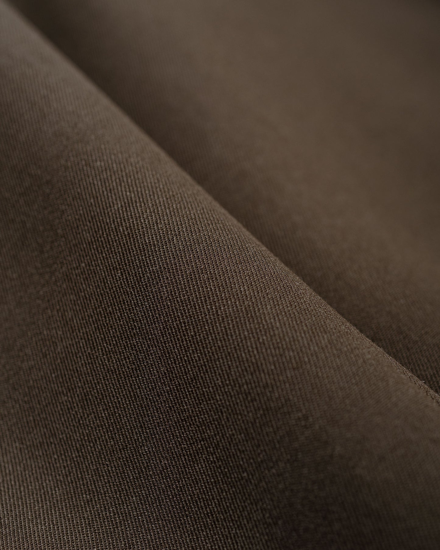 Auralee Light Wool Max Gabardine Two-Tuck Slacks Dark Brown