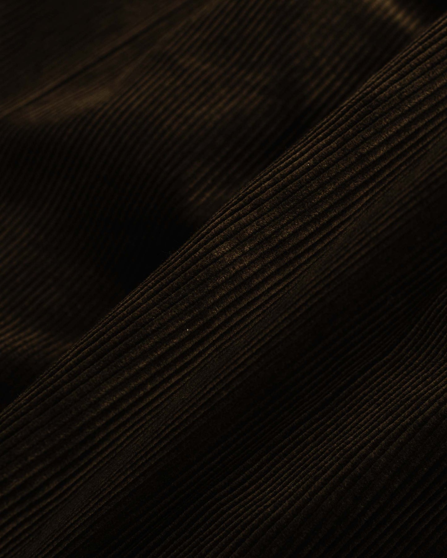 Beams Plus 2Pleats Corduroy Dark Brown Fabric