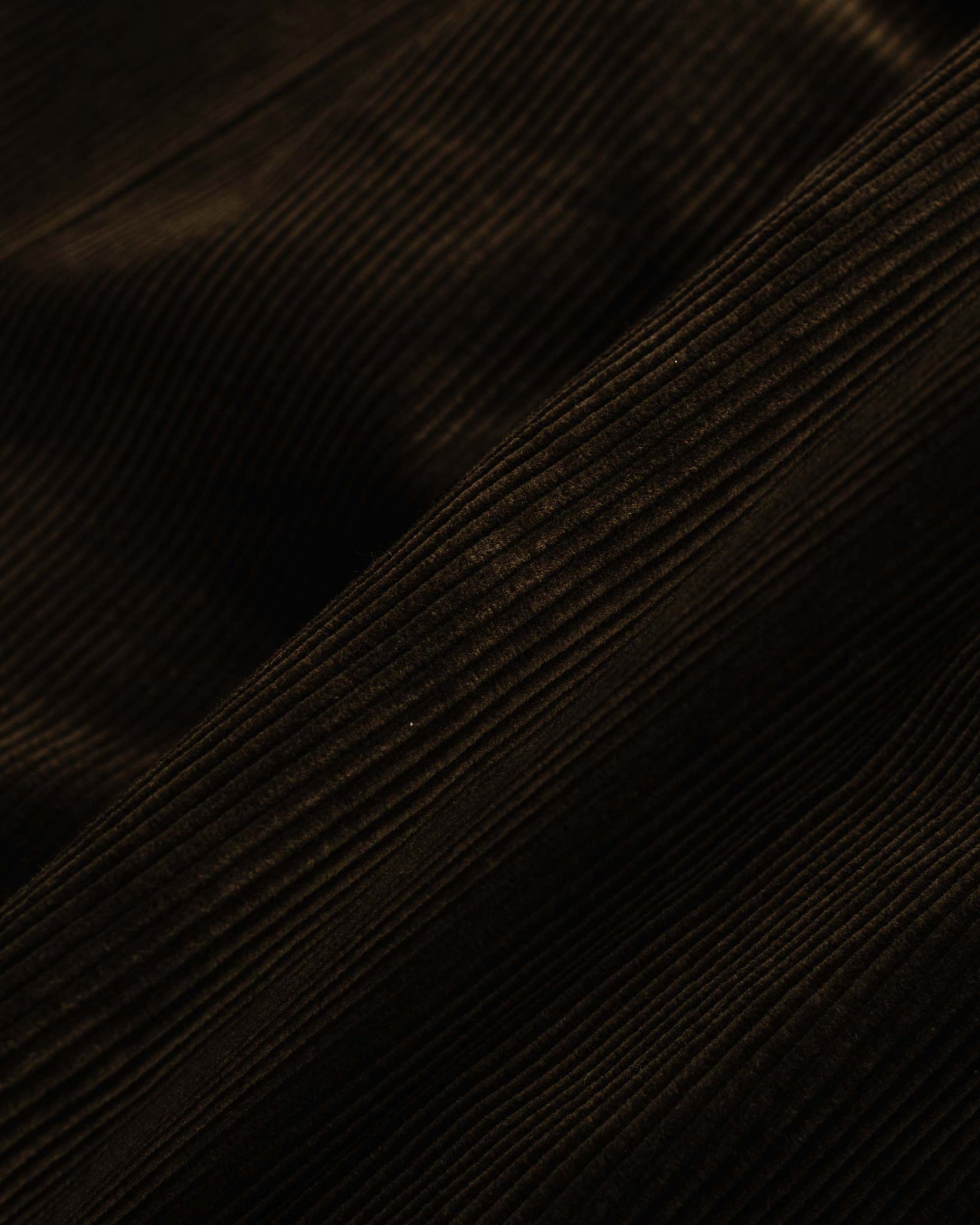 Beams Plus 2Pleats Corduroy Dark Brown Fabric