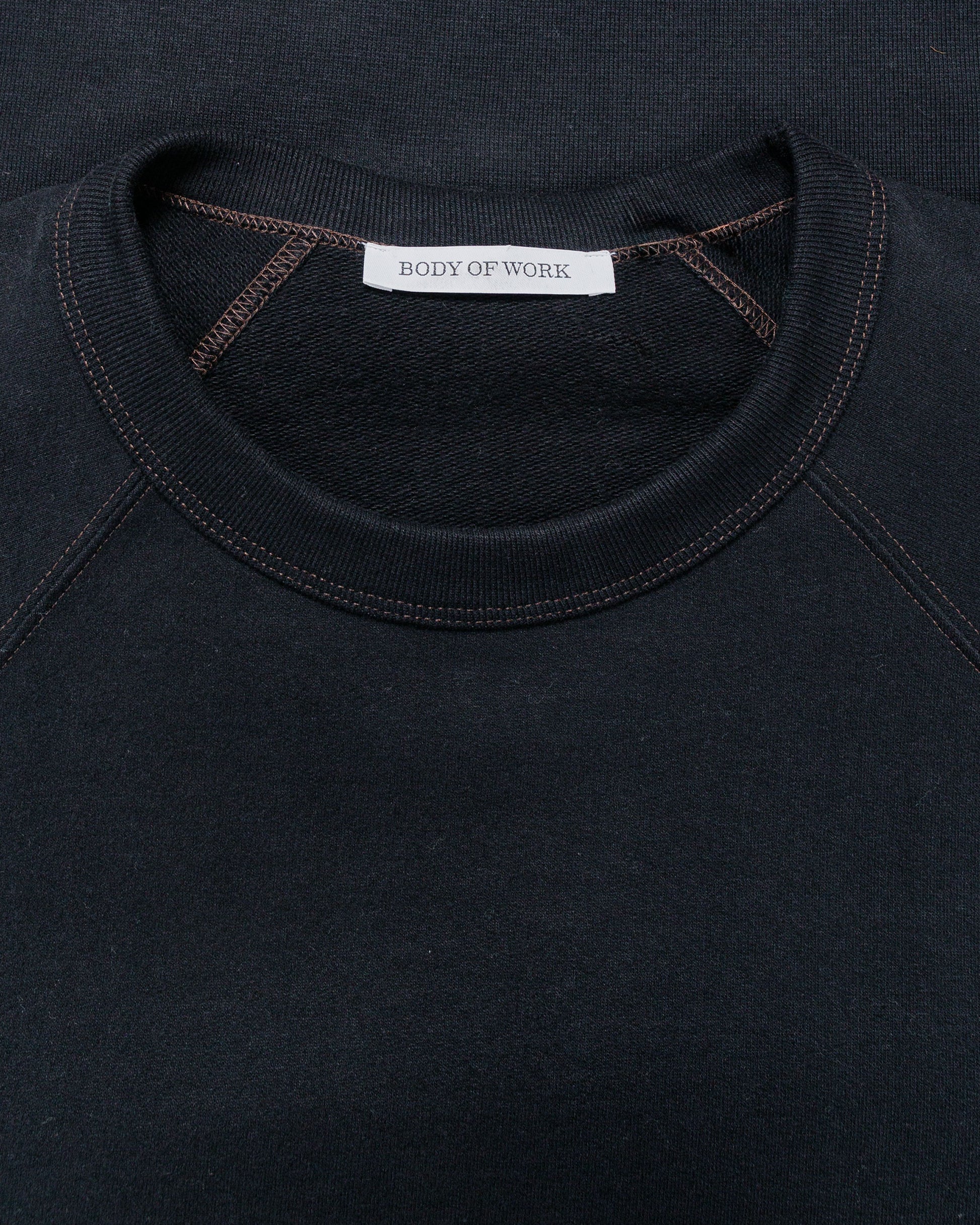 Body of Work Aster Raglan Sweatshirt BlackLoam Brown Stitch