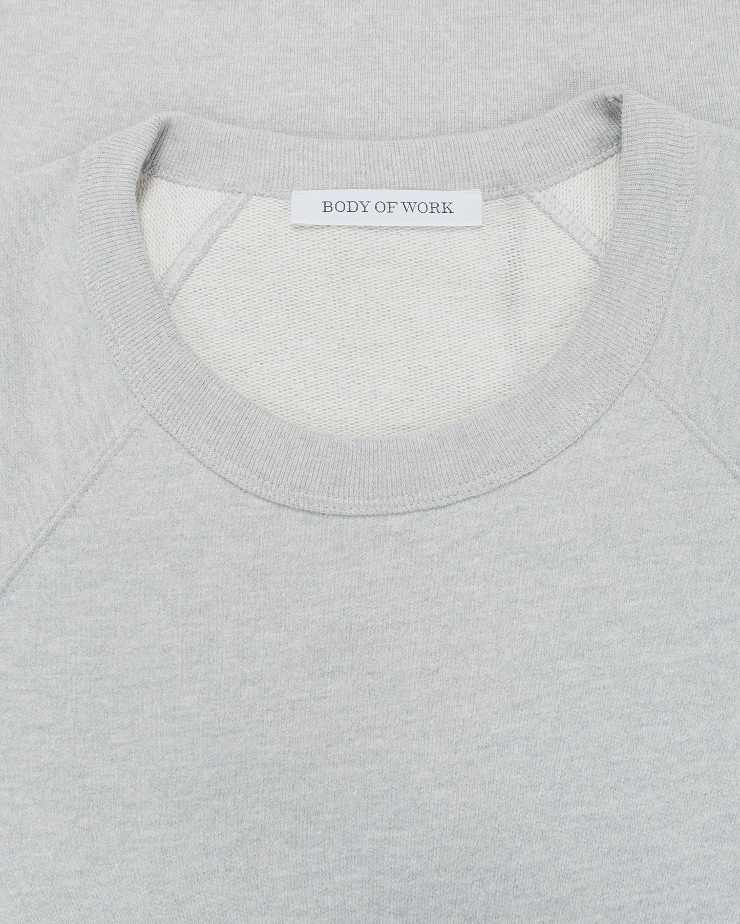 Body of Work Aster Raglan Sweatshirt Heather Grey