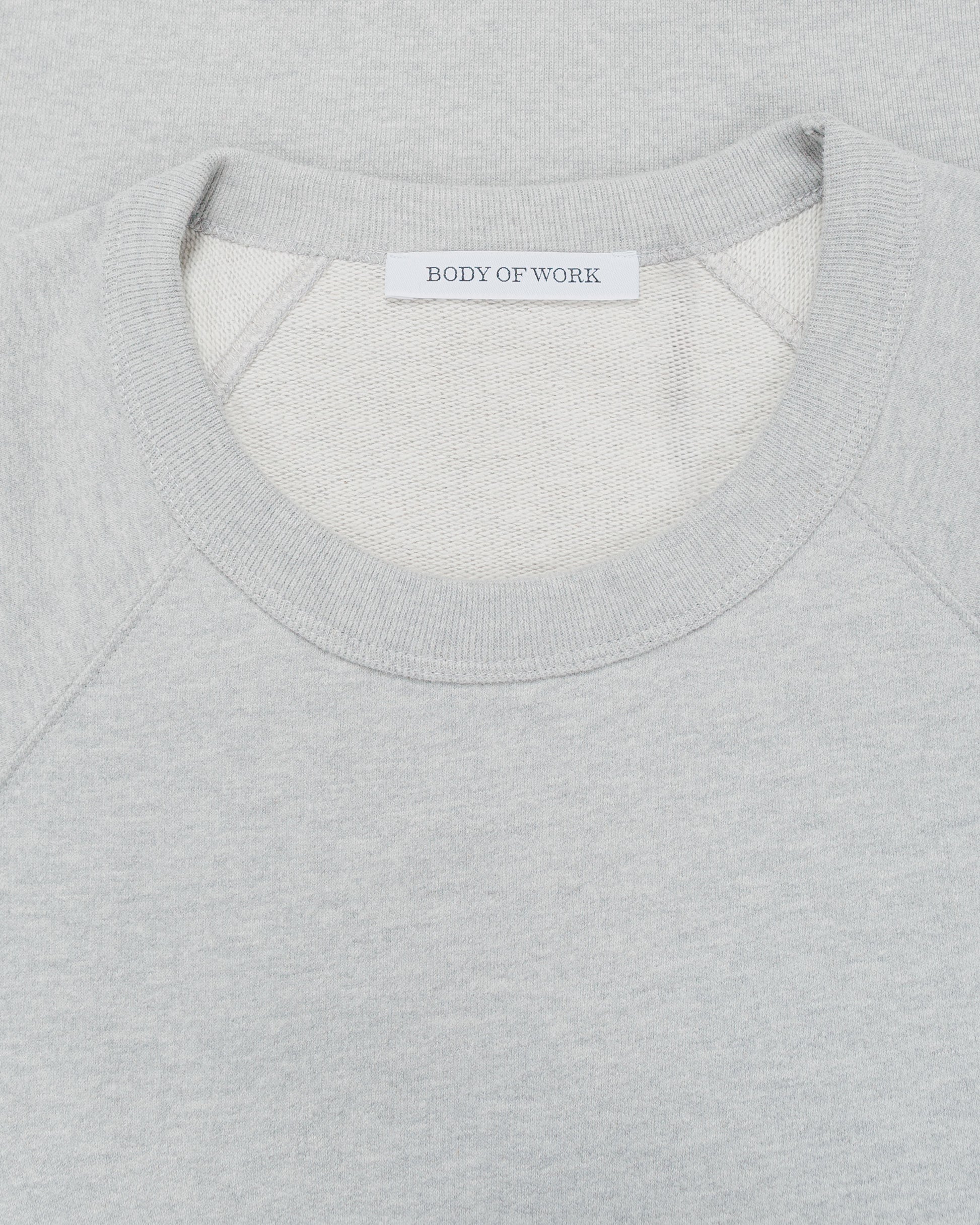 Body of Work Aster Raglan Sweatshirt Heather Grey