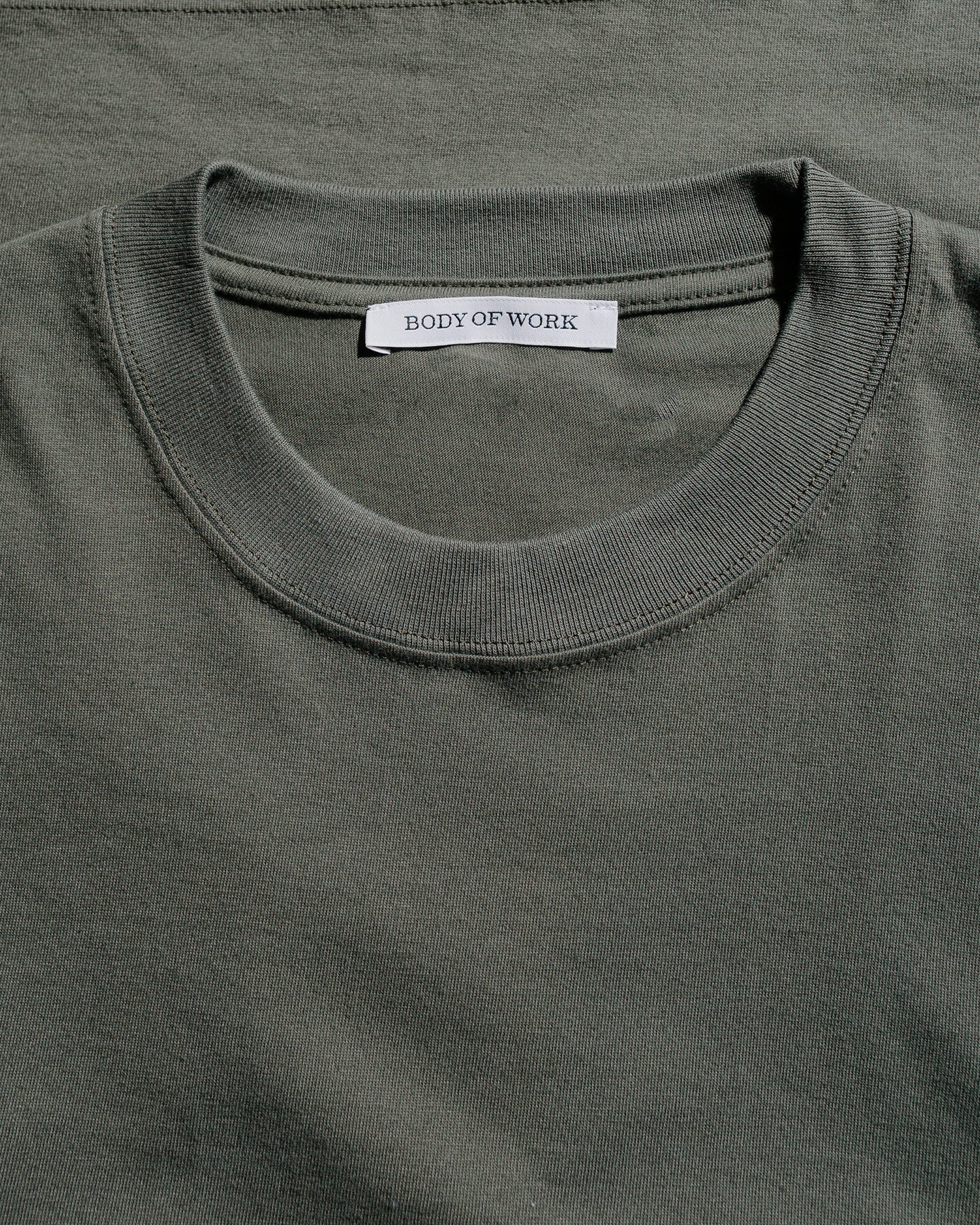 Body of Work Reed T-Shirt Lichen Green