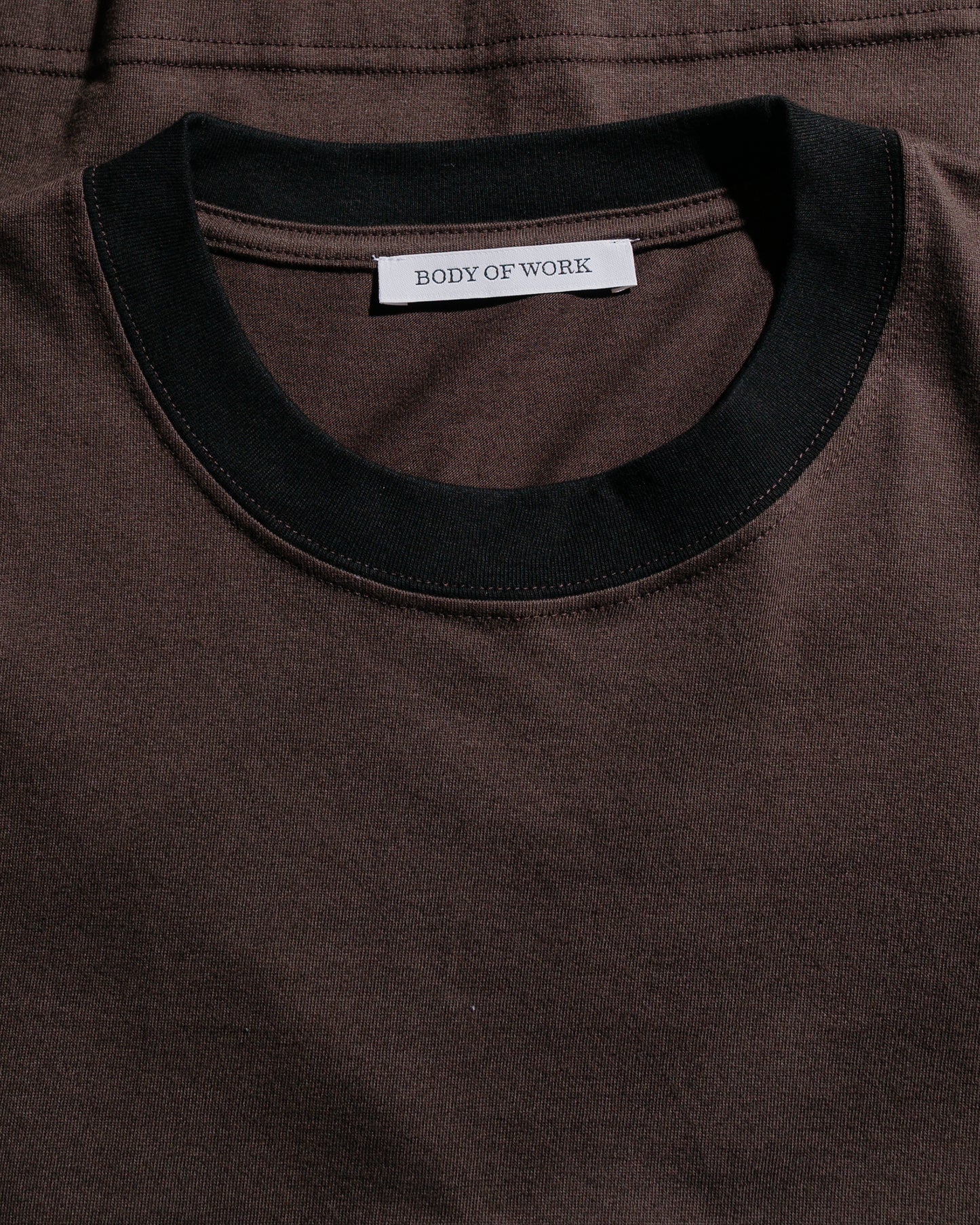 Body of Work Reed T-Shirt Loam Brown/Black