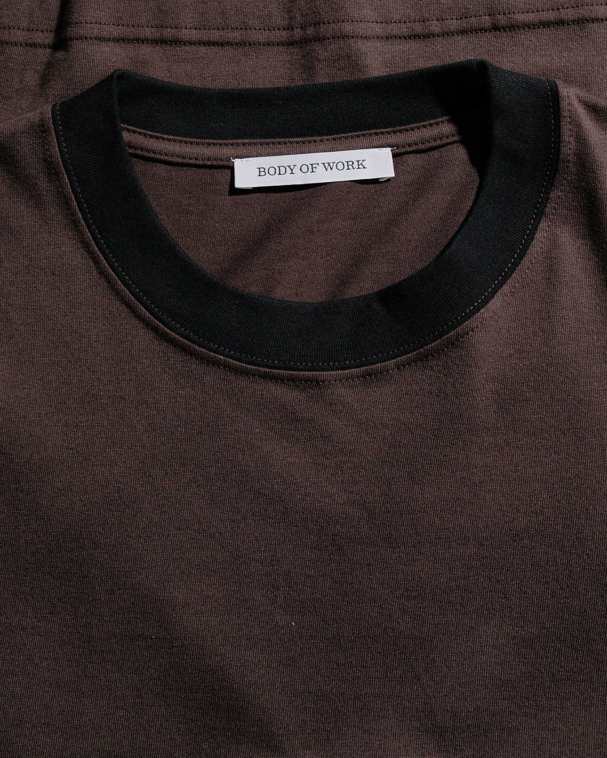 Body of Work Reed T-Shirt Loam Brown/Black