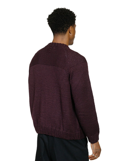 CASEY CASEY Mix Stitch Jumper Wooly Blackberry model back