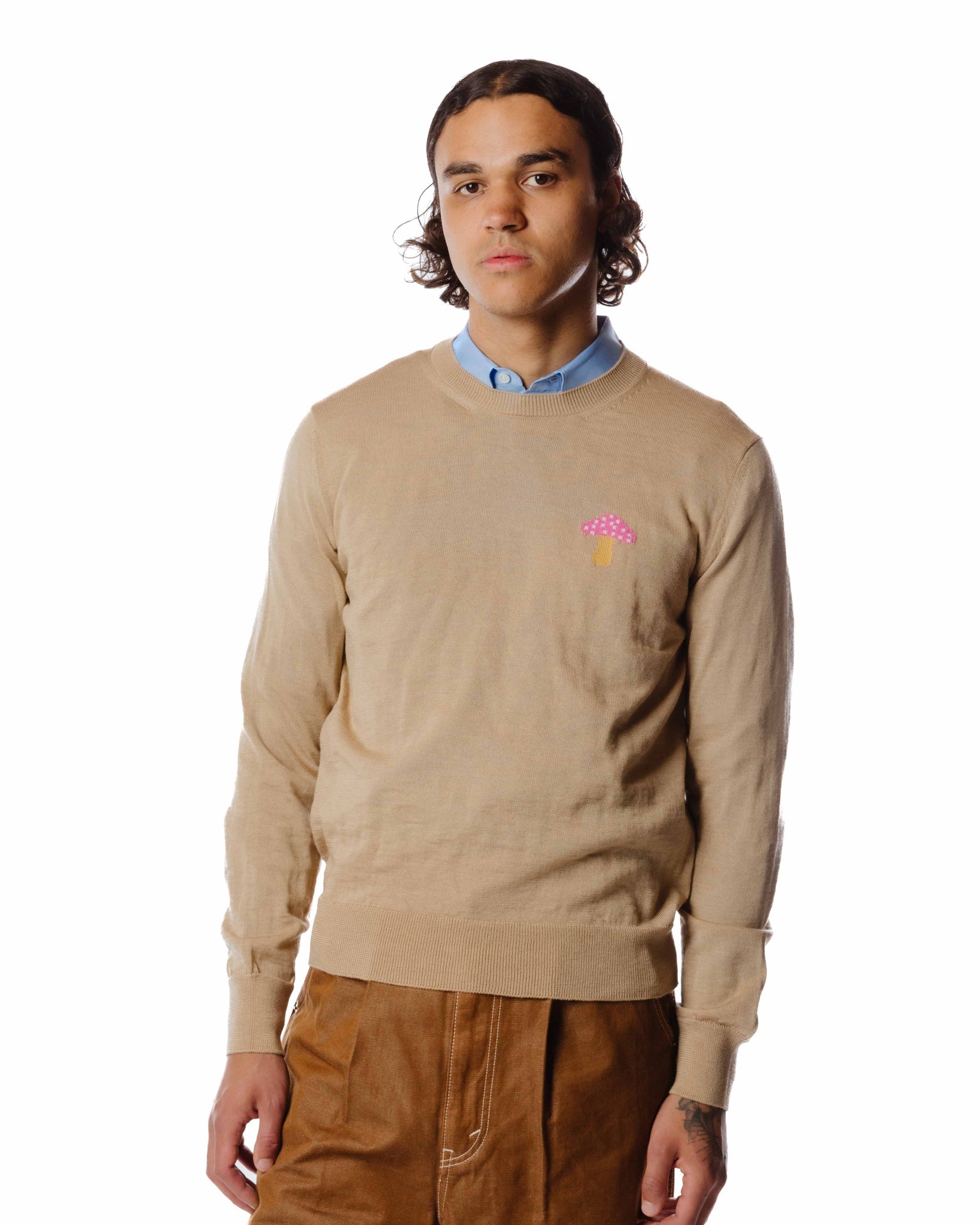 Comme des Garçons SHIRT Brett Westfall Mushroom Knit Sweater Beige Model Detail