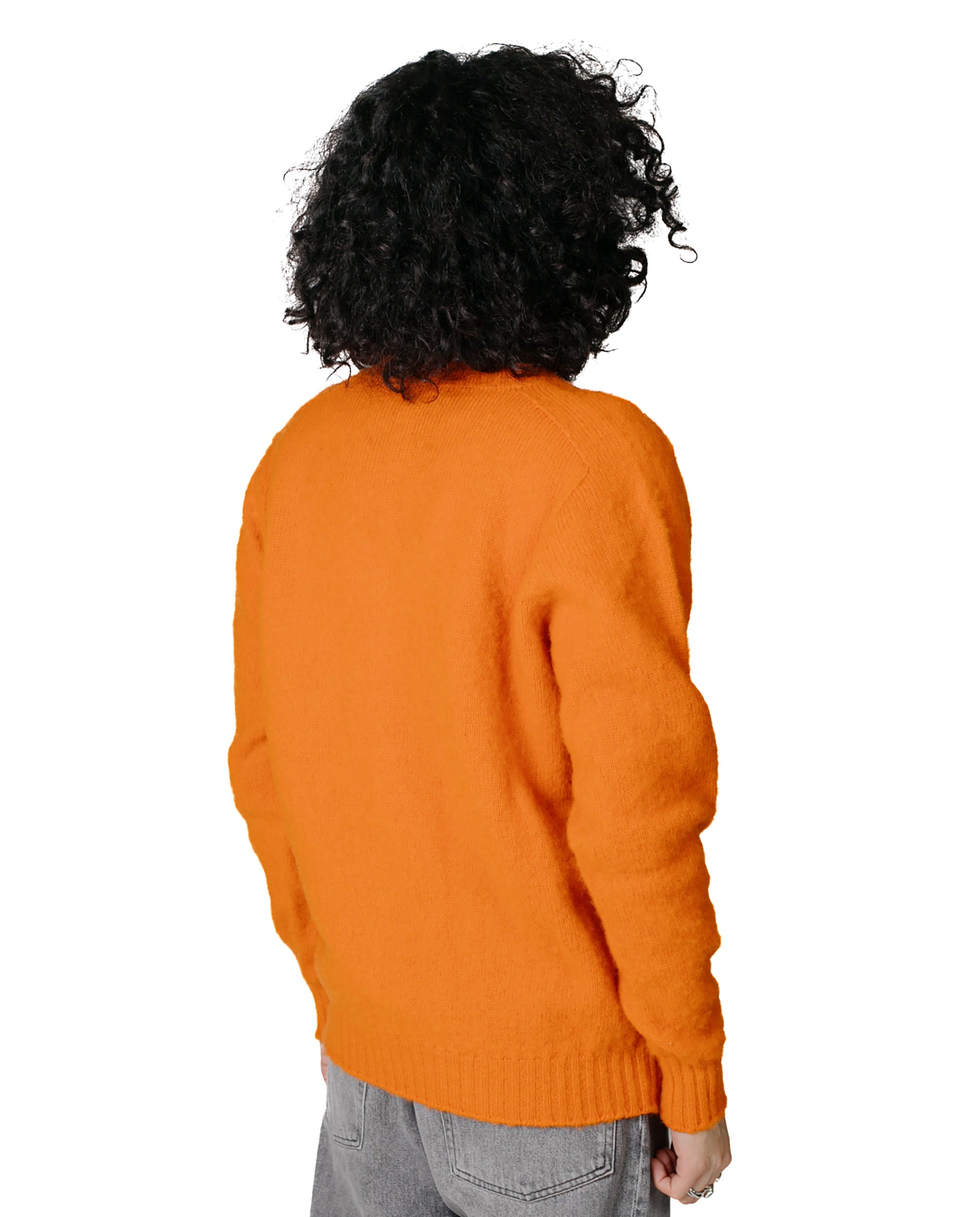 Howlin' Shaggy Bear V Neck Tangerine Dream Model Back