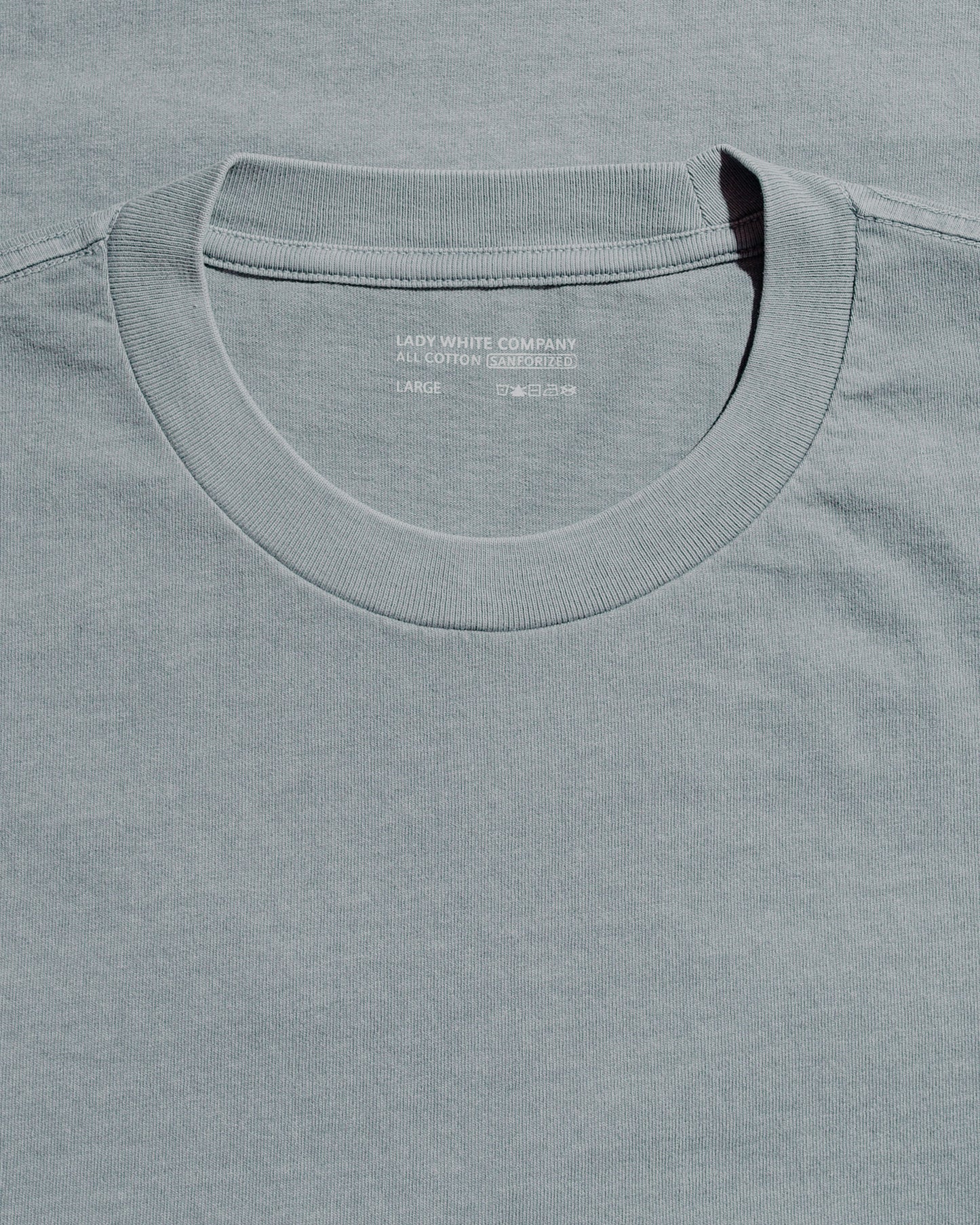 Lady White Co. Municipal T-Shirt Pigment Kelp