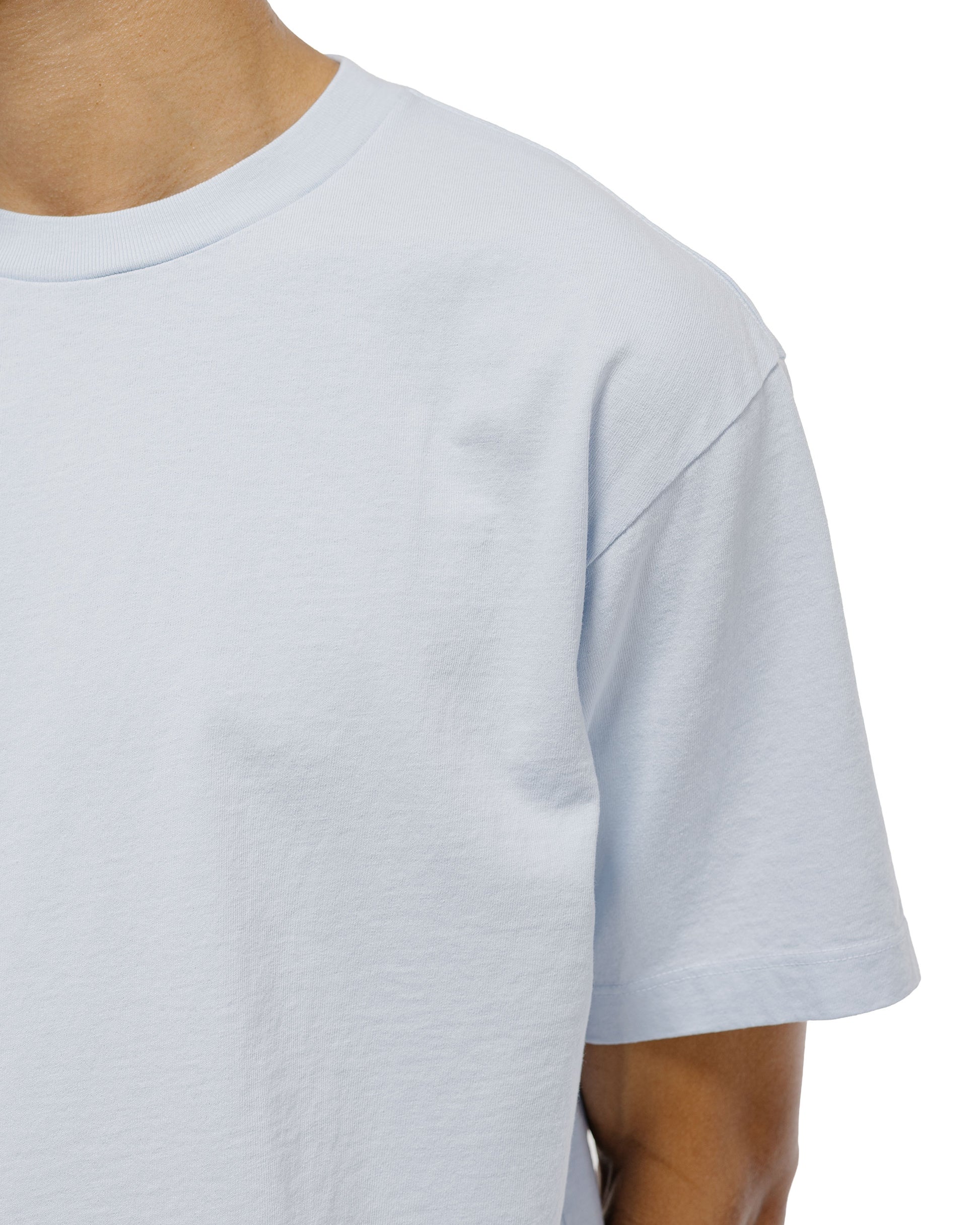 Lady White Co. Municipal T-Shirt Pale Blue