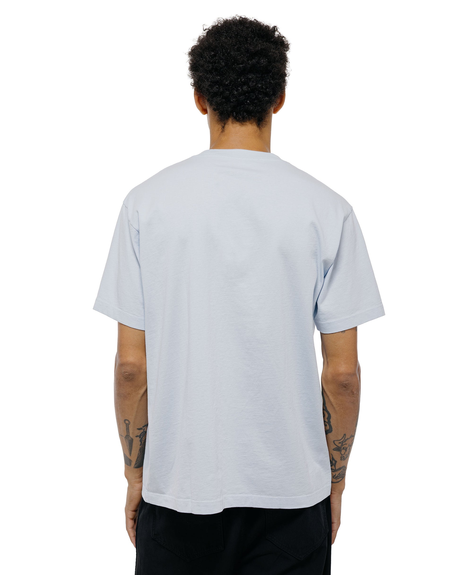 Lady White Co. Municipal T-Shirt Pale Blue