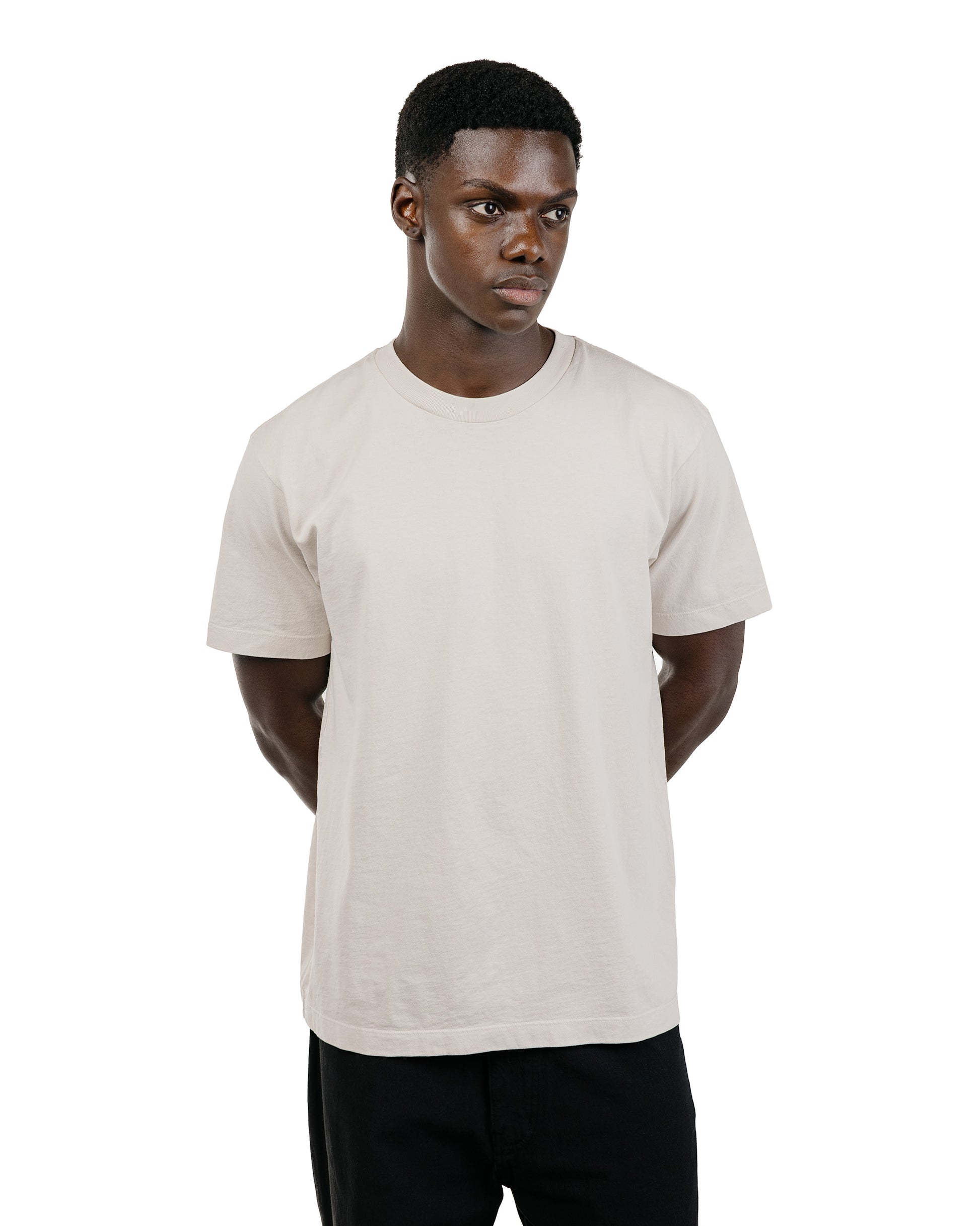 Lady White Co. Municipal T-Shirt Solar Grey