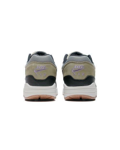 Nike Air Max 1 SC Dark Stucco/Black back