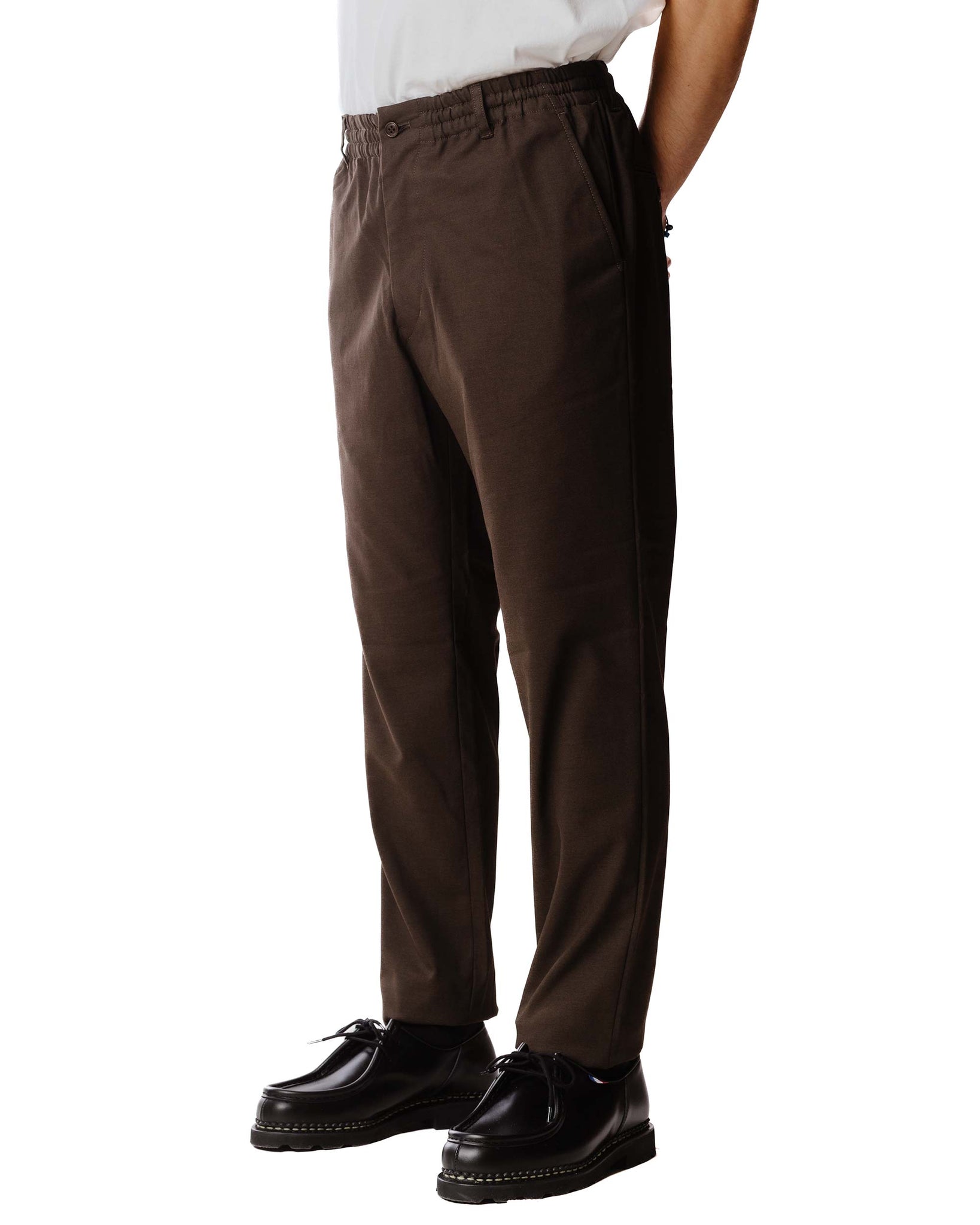 Sage de Cret Polyester/Rayon Stretch Serge Tapered Pants Brown Model Close