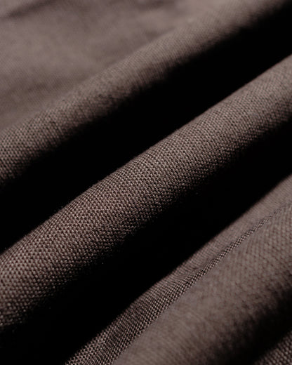 Stüssy Carpenter Pant Canvas Brown