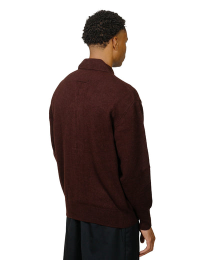 ssstein Fine Alpaca Knit Collared Cardigan Dark Brown model back