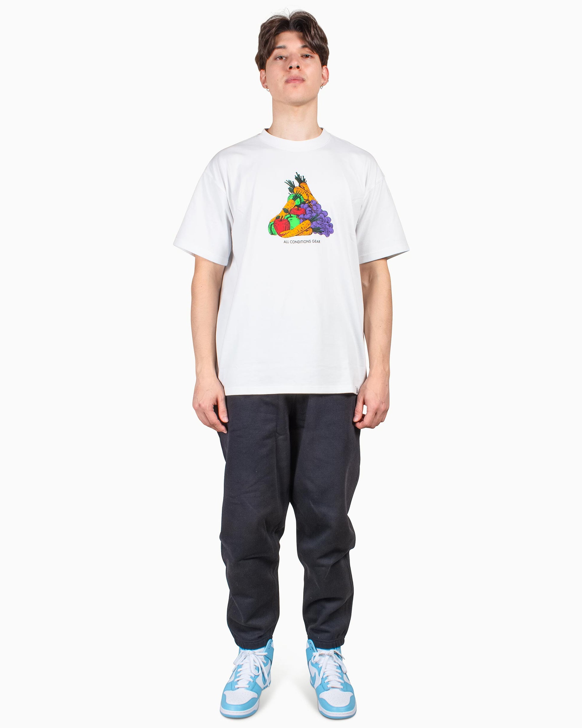 Nike ACG Fruit & Veg T-Shirt Summit White Model Front