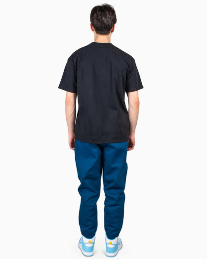 Nike ACG 'HIKE' T-Shirt Black Model Rear